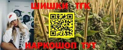 Альфа ПВП Сланцы